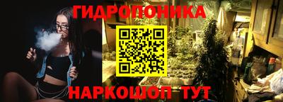гашиш Гай