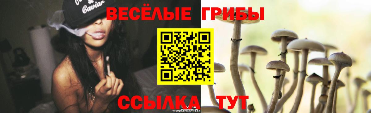 где найти   Вход с VPN  Керчь  Псилоцибиновые грибы Magic Shrooms  Псилоцибиновые грибы Psilocybe 